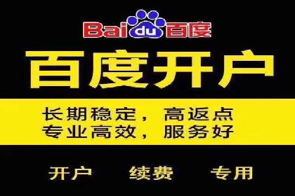 成功案例解析：SEM托管公司服务优势